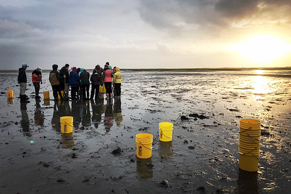 A group of William & Mary students engage in field work with VIMS researchers on a mud flat. Photo by Gail Schwieterman