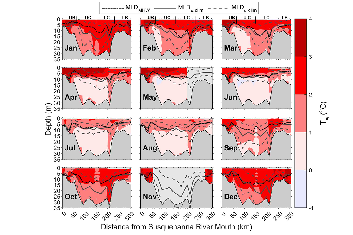 Mean monthly temperature anomalies during marine heatwave events.