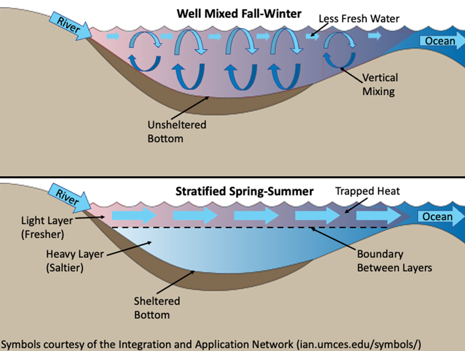 Graphical representation of seasonal variation in the subsurface during marine heatwaves.