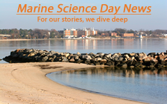 Marine Science Day News