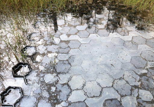 Crystalline metallic layer on marsh surface