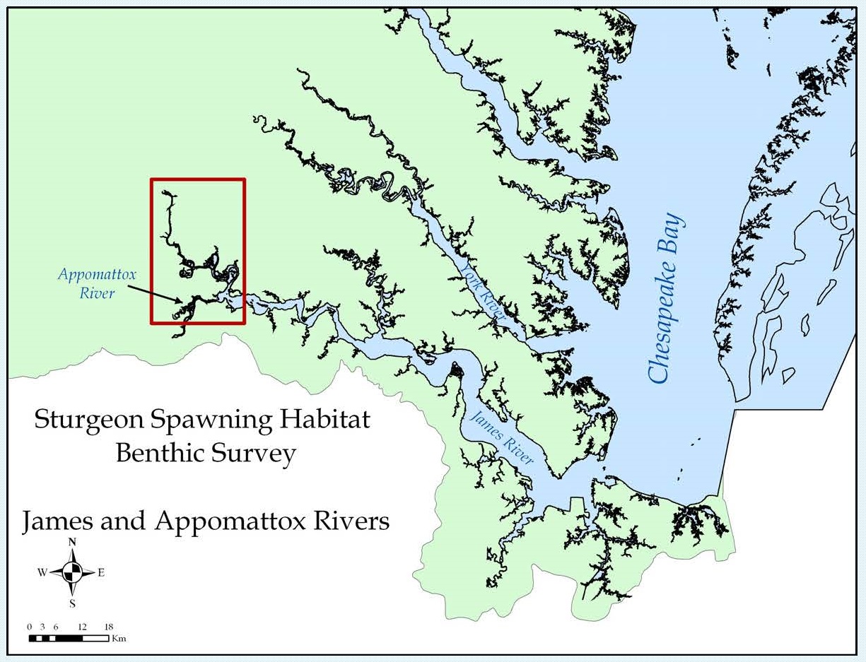 Location of benthic habitat survey on the James & Appomattox Rivers