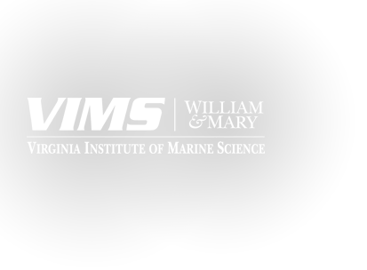 VIMS Logo