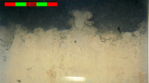 Sediment profile image