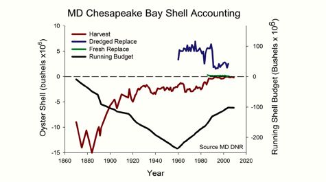 Shell Accounting