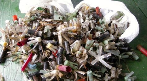 Shotgun wads and shells collected during a beach clean up. ©K. Havens/VIMS.