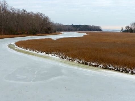 The recent cold spell has led to frozen creeks throughout Tidewater. © D. Malmquist/VIMS.