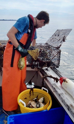 A researcher with Dominion's Millstone Environmental Laboratory monitors a lobster pot in Long Island Sound. © M. Groner/VIMS.