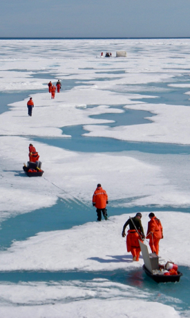 A science team traverses Arctic sea ice during a previous research cruise. © E. Shadwick/VIMS.