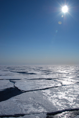VIMS researchers will travel to the North Pole to study Arctic sea ice. © E. Shadwick/VIMS.