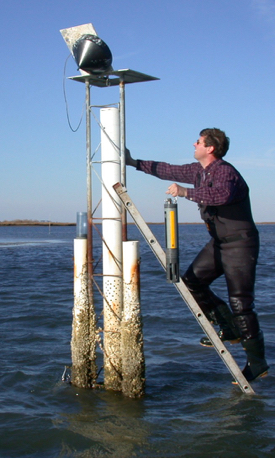 Reay services a monitoring buoy, one of several operated by the CBNERR program at VIMS.