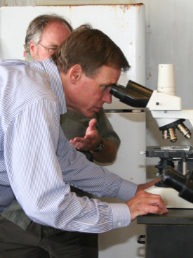 Dr. Stan Allen, director of the Aquaculture Genetics and Breeding Technology Center at VIMS, looks on as Virginia Senator Mark Warner examines oyster larvae under the microscope. © D. Malmquist/VIMS.