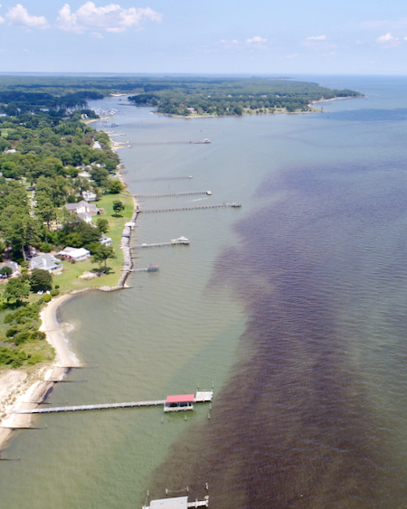 SCHISM’s next-generation capabilities will allow for more accurate assessments of climate change impacts in the Bay, including an expected increase in algal blooms like this one along the York River shoreline. © Donglai Gong/VIMS.