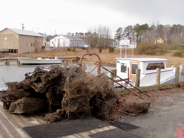 Derelict crab traps are offloaded for disposal after being removed from the Chesapeake Bay. © K. Havens/VIMS.