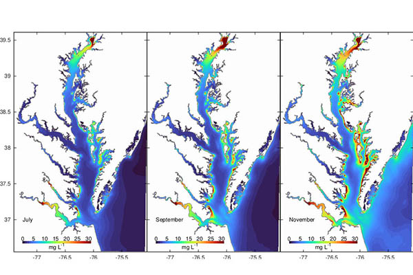 Example showing surface concentrations of inorganic suspended solids in the Chesapeake Bay. 