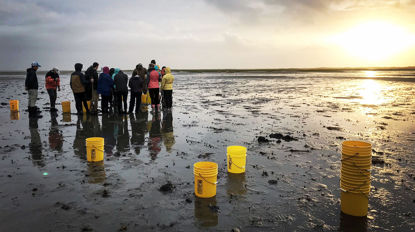 A group of William & Mary students engage in field work with VIMS researchers on a mud flat. Photo by Gail Schwieterman