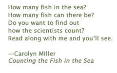 Insert from Counting the Fish in the Sea