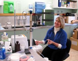 VIMS professor Deborah Bronk in the lab at the Barrow Arctic Science Consortium.