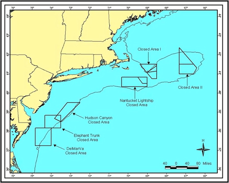 These areas are currently closed to scallop fishing.