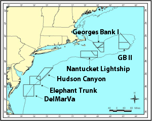 Map of scallop-management areas along the northeast Atlantic continental shelf.