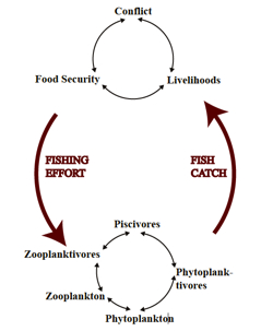 Conceptual diagram of couplings between human and natural systems in the Lake Victoria Basin.