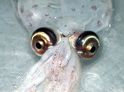 deep_sea_contamination