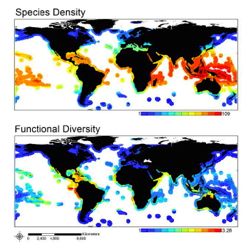 Species density (a relative measure of species richness) decreases poleward.  Functional diversity is highest in the Tropical Eastern Pacific and at dispersed hotspots at a range of latitudes. Color classifications differ between maps due to different ranges and distributions of diversity values. Minimum and maximum observed values are provided in the key for each plot as effective numbers per 500 square meters. Click for larger version.