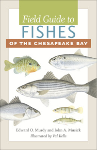 The cover of Field Guide to Fishes of the Chesapeake Bay. Image courtesy Johns Hopkins University Press.