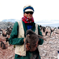 ddt_antarctic