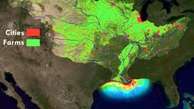 Streams and rivers carry excess nitrogen from farm fields and other sources to the coastal ocean, where it fuels low-oxygen dead zones that can displace or suffocate marine life. Credit NOAA.