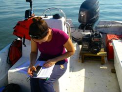 VIMS graduate student Gina Ralph collects data during her study of blue crabs and seagrass in Chesapeake Bay.