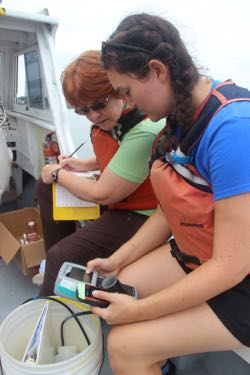 Professor Kim Reece and graduate student Sarah Pease collect water samples from an algal bloom in the York River.