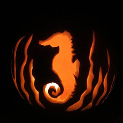 Kasey Cantwell of Silver Spring, MD came in third place with her seahorse in seagrass pumpkin.