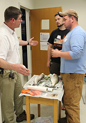 George Wojcik (left) shows new taggers how to apply a stainless steel dart tag in larger fish.