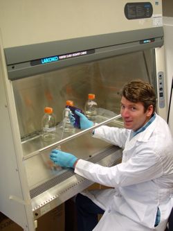 New Assistant Professor Andrew Wargo prepares to process samples in a biosafety cabinet.