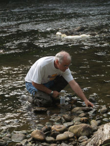 Prof. Newman samples mercury-contaminated biota from the Holston River.