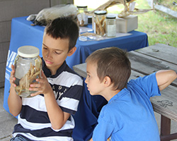 Participants examine specimens from the VIMS Fish Collection during the Native American Fishing Techniques program offered by VIMS at York River State Park.