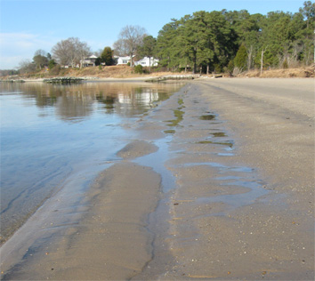 Groundwater seepage at low tide on the VIMS beach. The groundwater carries large amounts of naturally-occurring radium, iron, manganese, and other trace metals.