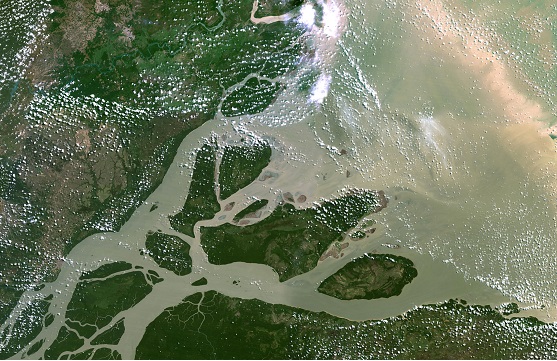 Mouth of the Amazon River. Photo by Universal Images Group North America LLC/Alamy Stock Photo