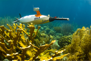 The autonomous underwater vehicle Fetch in the waters of the Caribbean. Photo by M. Dale Stokes.