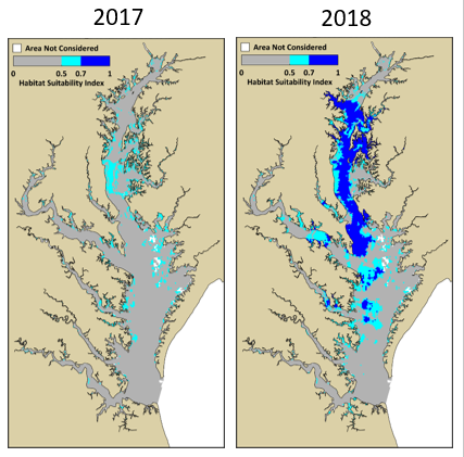 The availability and extent of suitable habitats varied among years, reflecting changes in water quality conditions in Chesapeake Bay. In 2018, a greater extent of suitable (HSI>0.5) and optimal (HSI>0.7) habitats were observed compared to 2017.