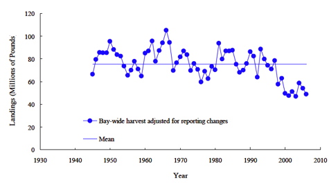 Chesapeake Bay Crab Harvest