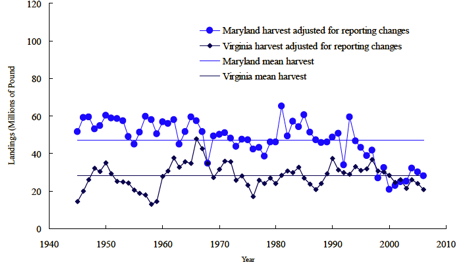 MD & VA Crab Harvest