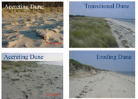 Dune Site Stages