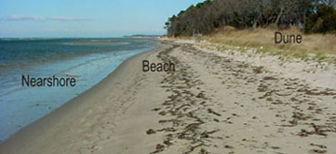 Shore zone features along the shoreline. More detailed boundaries are shown below.