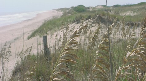 2_Atlantic_dunes.jpg