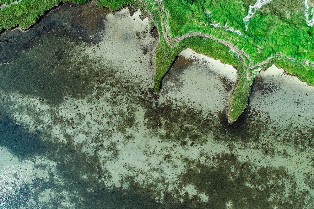 Aerial image of seagrasses in Mobjack Bay.