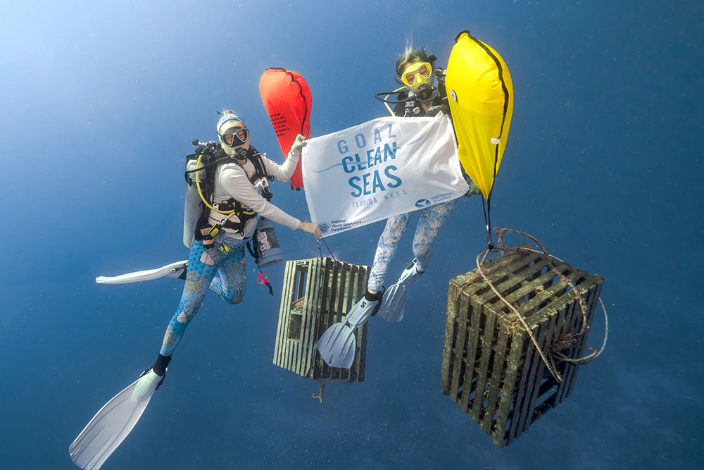 Divers with National Marine Sanctuary Foundation bring derelict spiny lobster traps to the surface using air-filled buoys. 