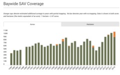 SAV 2018 Infographic Widget
