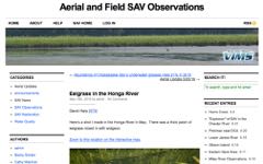 SAV Observations